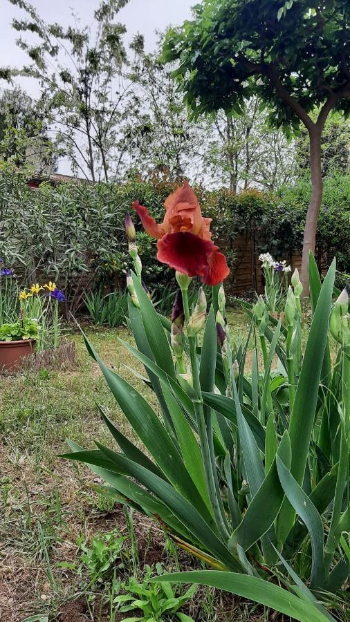Maison Lumineuse Et Spacieuse Avec Jardin Arbore La Valette-du-Var Exterior foto
