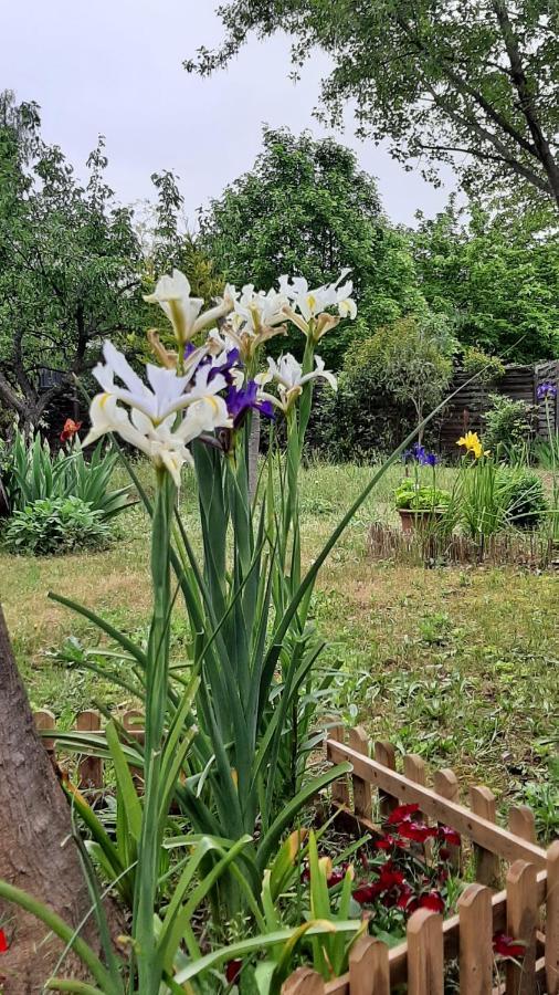 Maison Lumineuse Et Spacieuse Avec Jardin Arbore La Valette-du-Var Exterior foto